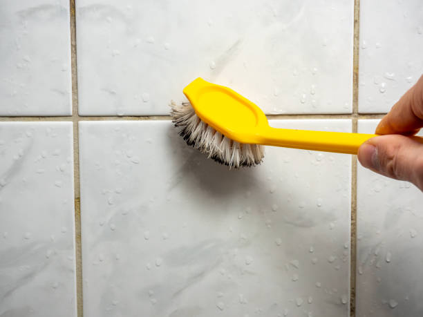 Best Mold Remediation  in Eddington, PA