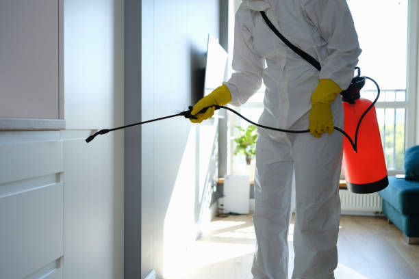 Crawl Space Mold Removal in Eddington, PA