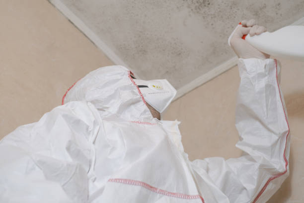 Eddington, PA Mold Removal Company